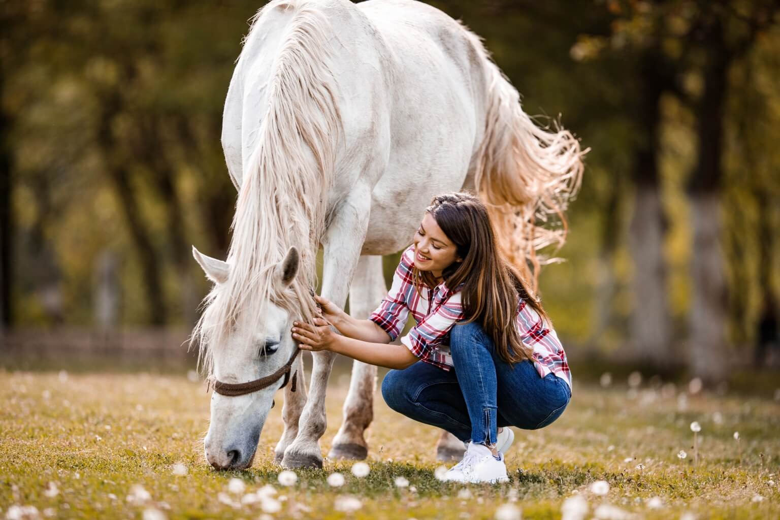 Le retour de la dermite estivale, comment la prévenir ?
