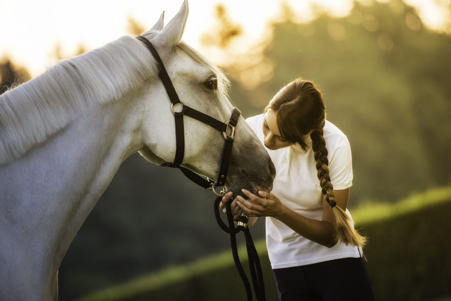 Comment gérer le stress de votre cheval ?